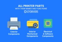 All Printer Parts with Their Names and Functions: Easy Breakdown for Users