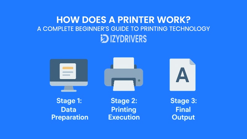 How Does a Printer Work? A Complete Beginner’s Guide to Printing Technology