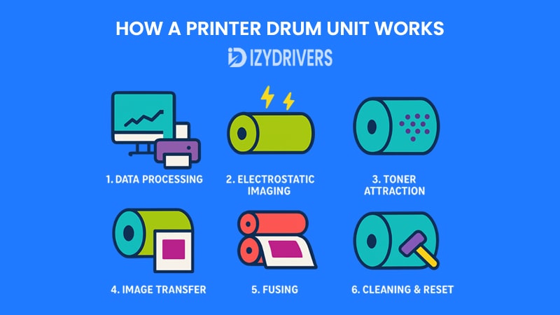 How a Printer Drum Unit Works
