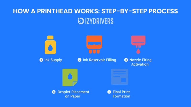 How a Printhead Works: Step-by-Step Process