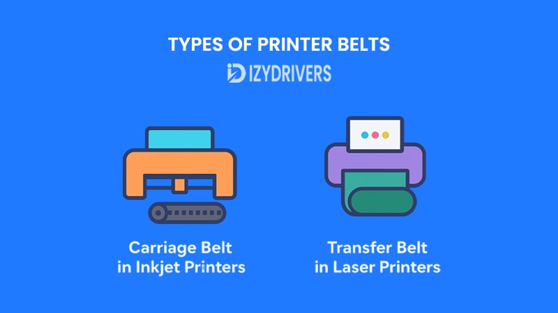 Types of Printer Belts (Carriage Belt vs. Transfer Belt)
